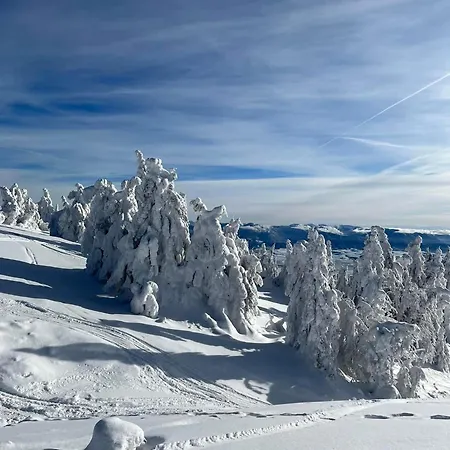 V Sukromi